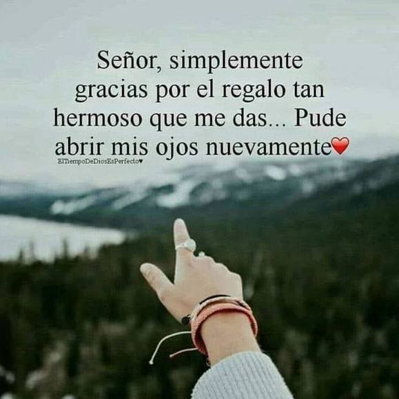 fernandita2220